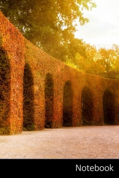 Paperback Notebook: 秋、色、日、秋の葉 ノートブッ| Book