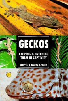 Paperback Geckos: Keeping & Breeding Them in Captivity Book