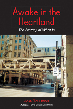 Paperback Awake in the Heartland: The Ecstasy of What Is Book