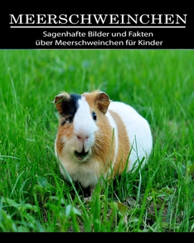 Paperback Meerschweinchen: Sagenhafte Bilder und Fakten über Meerschweinchen für Kinder [German] [Large Print] Book