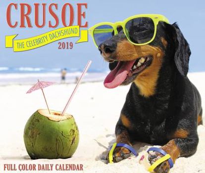 Calendar Crusoe the Celebrity Dachshund 2019 Box Calendar (Dog Breed Calendar) Book