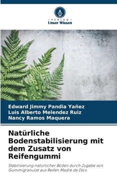 Paperback Natürliche Bodenstabilisierung mit dem Zusatz von Reifengummi [German] Book