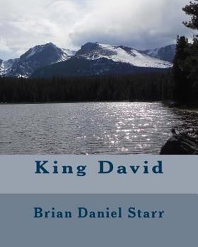 Paperback King David Book