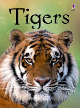 Hardcover Tigers Internet Referenced Book