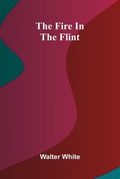 Paperback The fire in the flint Book