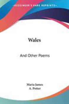 Paperback Wales: And Other Poems Book