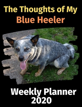 Paperback The Thoughts of My Blue Heeler: Weekly Planner 2020 Book