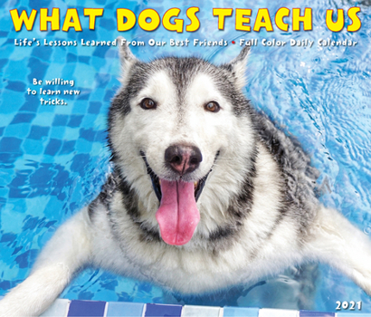 Calendar What Dogs Teach Us 2021 Box Calendar Book