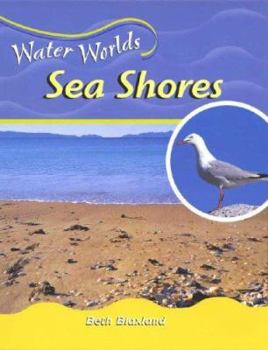 Library Binding Sea Shores (Water) Book