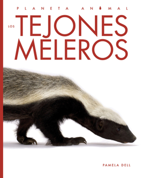 Los tejones meleros (Planeta animal) (Spanish Edition)