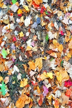 2020 Daily Planner Colorful Autumn Leaves Ground 388 Pages: 2020 Planners Calendars Organizers Datebooks Appointment Books Agendas