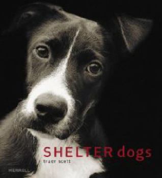 Paperback Shelter Dogs Book