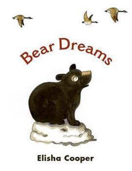 Hardcover Bear Dreams Book