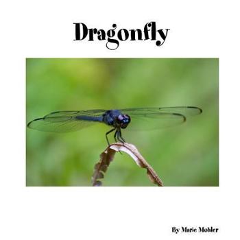 Paperback Dragonfly Book