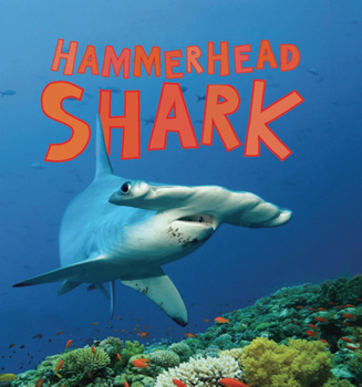 Hardcover Hammerhead Shark (Discover Sharks) Book
