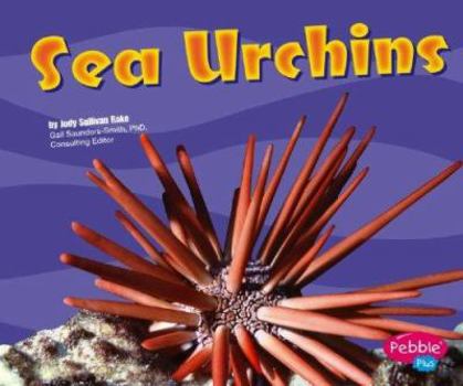 Hardcover Sea Urchins Book