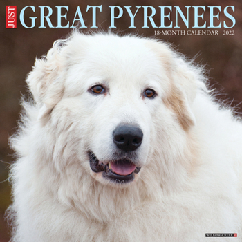 Calendar Just Great Pyrenees 2022 Wall Calendar (Dog Breed) Book