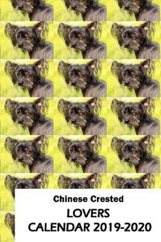 Paperback Chinese Crested Lovers Calendar 2019-2020 Book
