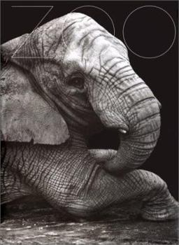 Hardcover Zoo [Spanish] Book