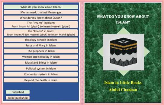 What do you know about Islam?: A Logical Guide to Meta-Religion and Cause-Effect: Connecting Torah, Bible, and Quran | Islam in Little Books Vol. 1