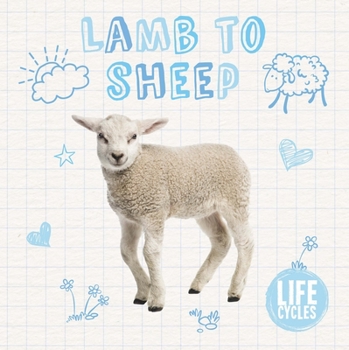 Hardcover Lamb to Sheep Book