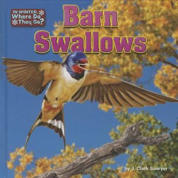 Barn Swallows - Book  of the In Winter, Where Do They Go?