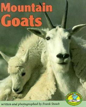 Hardcover Mountain Goats Book
