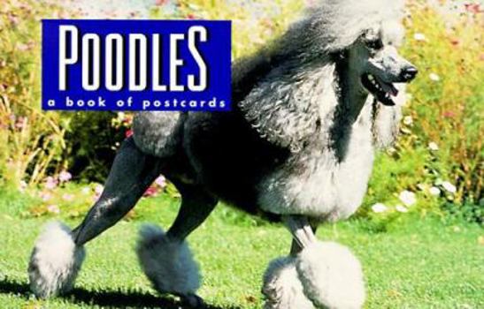 Paperback Poodles: A Book of Postcards Book