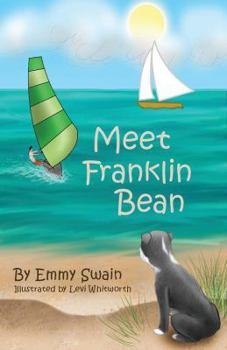 Paperback Meet Franklin Bean: Franklin Bean - book 1 (Franklin Bean Superhero Series) Book