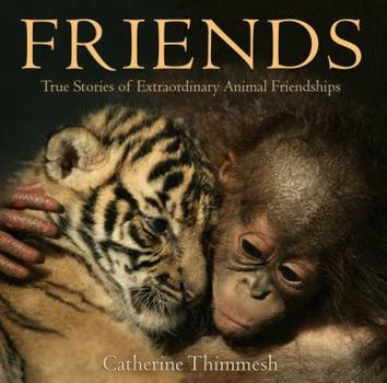 Hardcover Friends Book