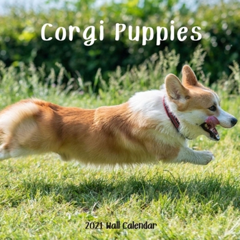 Corgi Puppy 2021 Wall Calendar: Corgi Puppy Calendar 2021, 18 Months