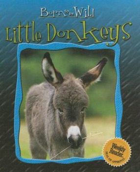 Library Binding Little Donkeys Book