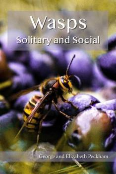 Paperback Wasps: Social and Solitary Book