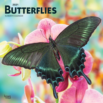 Calendar Butterflies 2021 Square Book