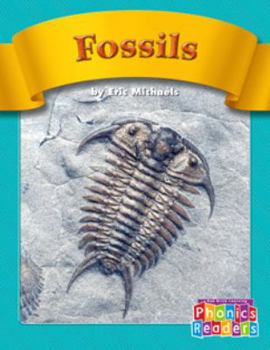 Paperback Fossils Book