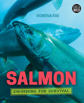 Hardcover Salmon: Swimming for Survival Book