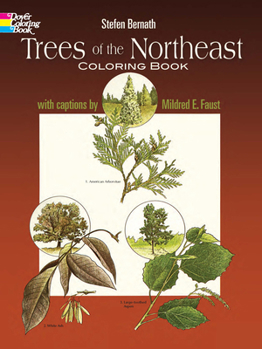 Paperback Trees of the Northeast Coloring Book