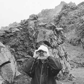 Vinyl Waking Hours (LP) Book