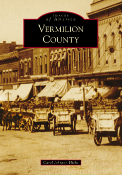 Paperback Vermilion County Book