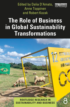 Paperback The Role of Business in Global Sustainability Transformations Book