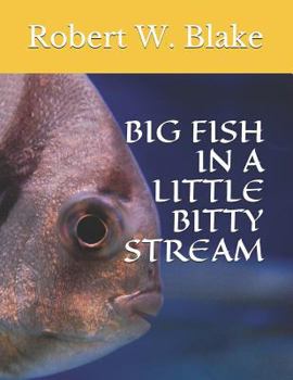 Paperback Big Fish in a Little Bitty Stream Book