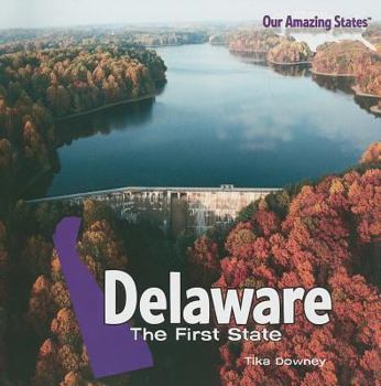 Delaware: The First State - Book  of the Our Amazing States