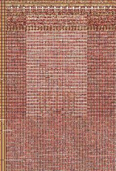 Paperback Messianic Siddur for Shabbat Book