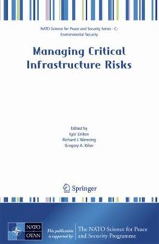 Paperback Managing Critical Infrastructure Risks: Decision Tools and Applications for Port Security Book