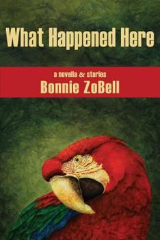 Paperback What Happened Here Book