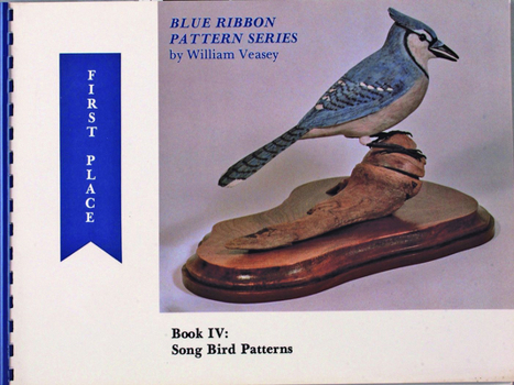 Paperback Blue Ribbon Pattern Series: Song Bird Patterns Book