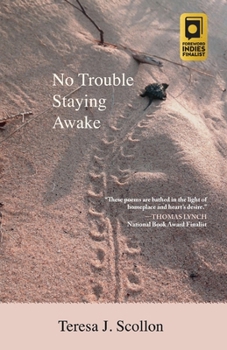 Paperback No Trouble Staying Awake Book
