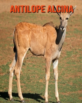Antilope alcina: Immagini bellissime e fatti interessanti Libro per bambini sui Antilope alcina (Italian Edition)