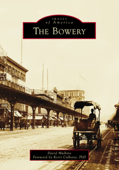 Paperback The Bowery Book