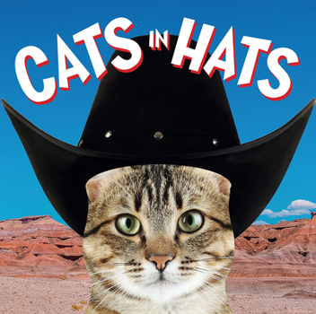 Board book Cats in Hats Book